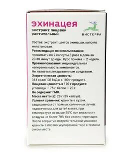 Эхинацея как принимать
