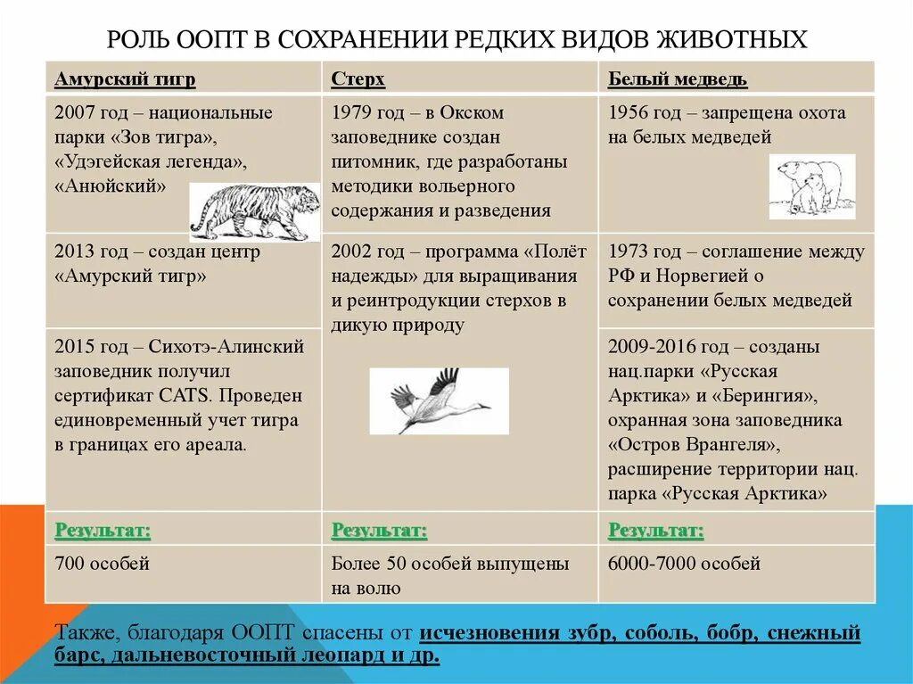 Сохранение редких видов животных. Реинтродукция видов. Реинтродукция животных. Реинтродукция животных примеры. Реинтродукции диких животных