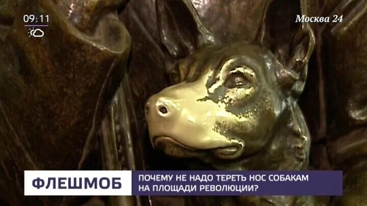 Зачем тереть нос собаке в метро