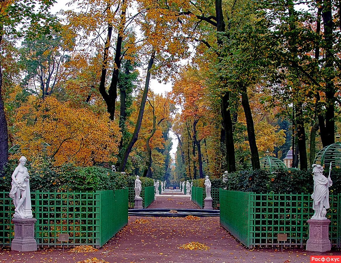 Летний сад осенью. Летний сад в Санкт-Петербурге осенью. Питер летний сад осенью. Летний сад Питер октябрь 2022. Санкт-Петербург летний сад аллеи осенью.