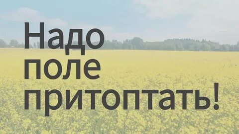 Песня надо поле притоптать слушать