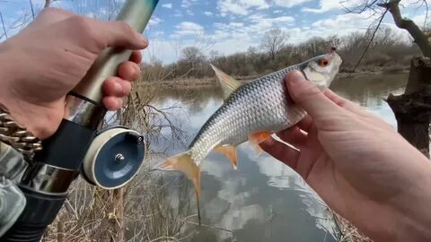 Запрещенная ловля
