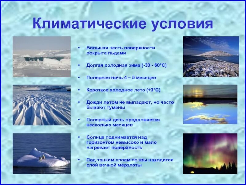Условия сильнейшего 6. Климатические условия. Климатический. Климатические условия Арктики. Природно-климатические условия.