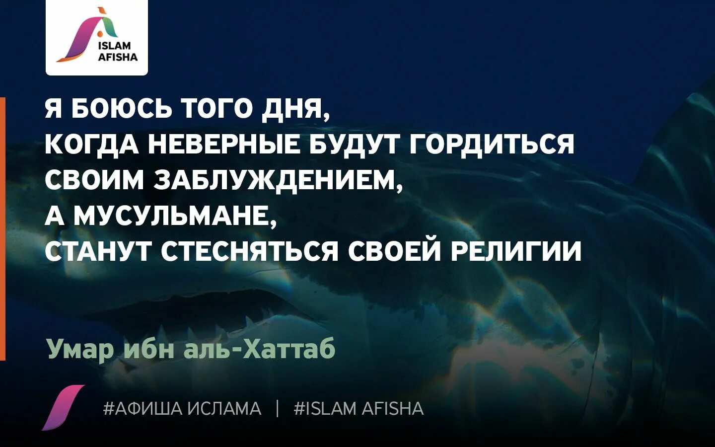 Бойтесь того дня когда