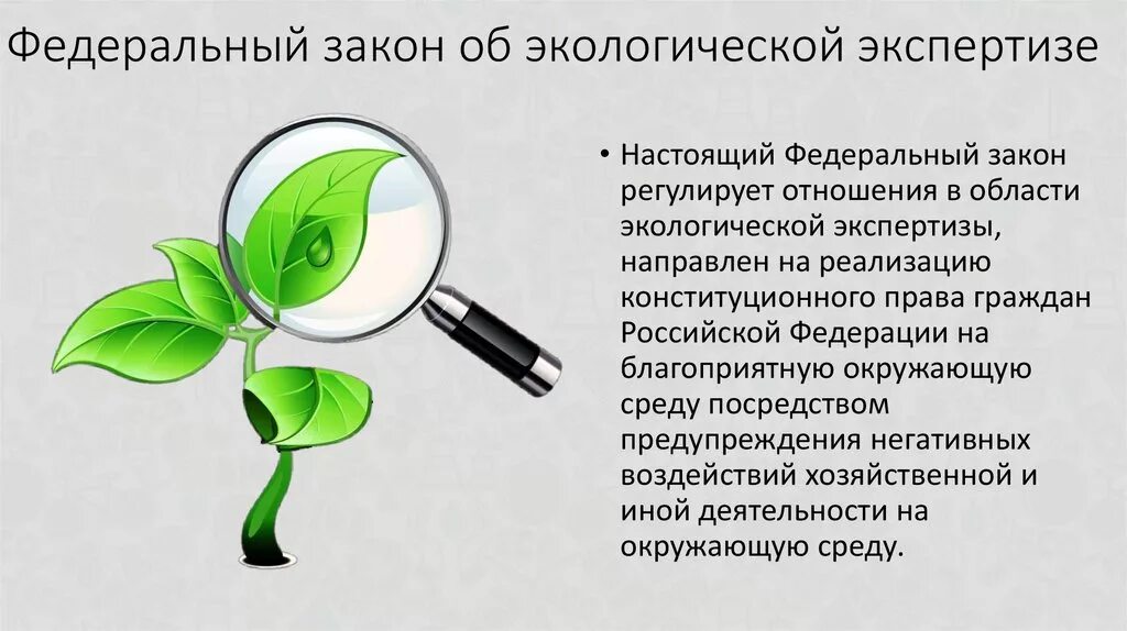 Изменения в экологическом законодательстве. Экологическая экспертиза. Понятие экологической экспертизы. Закон об экологической экспертизе. Научная экологическая экспертиза.