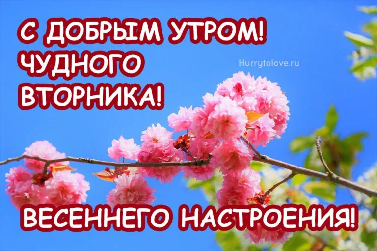 Доброго вторника весеннего настроения. С добрым весенним утром вторника. Весенний вторник с девушкой. Доброго весеннего вторника прикольные картинки.