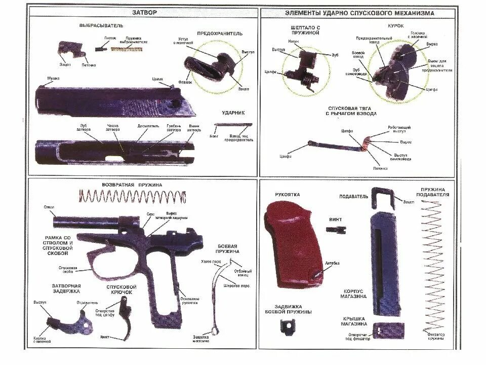 Основные составные части оружия. Схема пистолета ПМ 9мм. Основные части затвора пистолета Макарова. Назначение затвора ПМ 9мм Макарова.