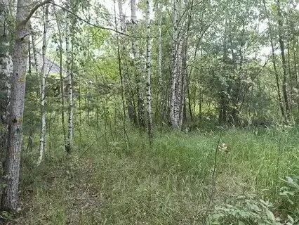 Снт утро московская область
