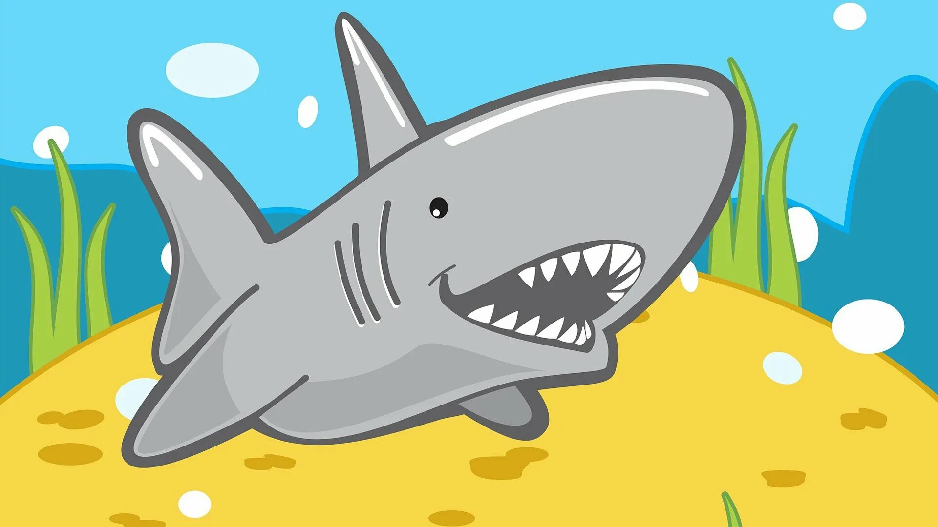 Акула малыш. Веселая акула. Акула рядом с человеком. Акула малыш. Акула мультяшная.