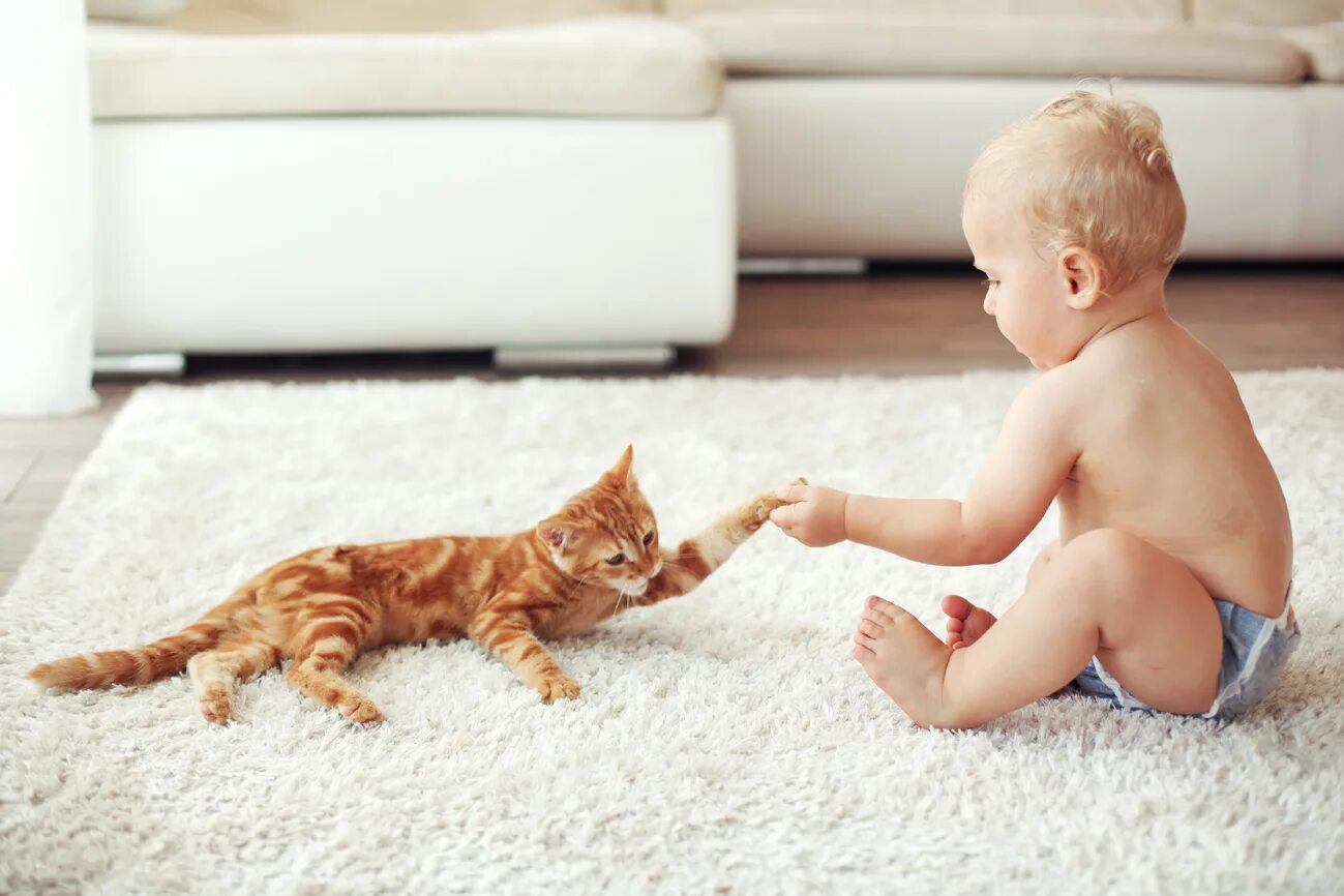 Котенок играет малыша. Кошка для детей. Ребенок на ковре. Дети и коты. Детки и котята.
