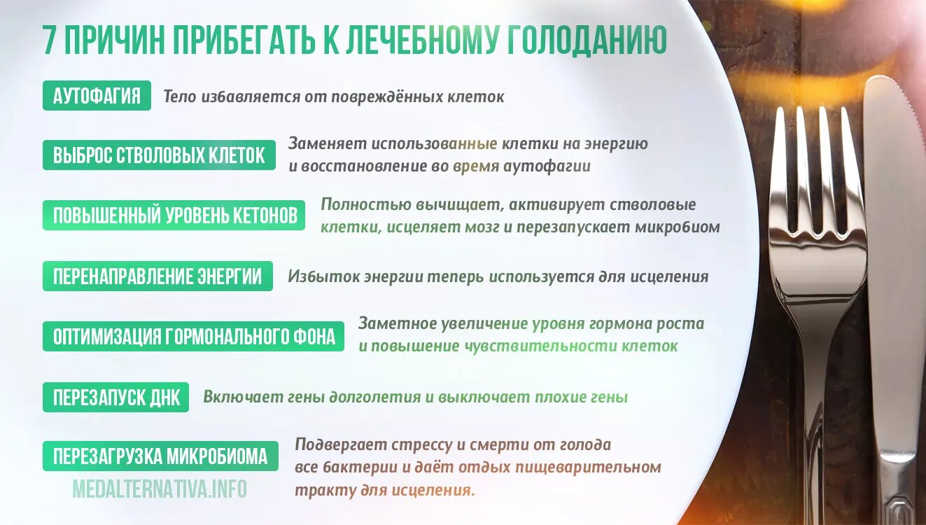 Изменения в организме 7. Лечебное голодание. Методика лечебного голодания. Диета лечебное голодание. Полезное голодание для очистки.