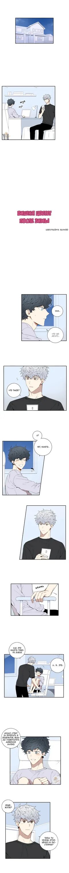 Вишня зимой манга читать. Вишня цветет после зимы манхва +18. Вишня цветёт после зимы 3 том 2 глава. Вишня цветёт после зимы манхва. Вишня цветет после зимы хэбом.