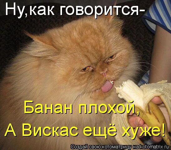 Как говорится are. Как говорится are