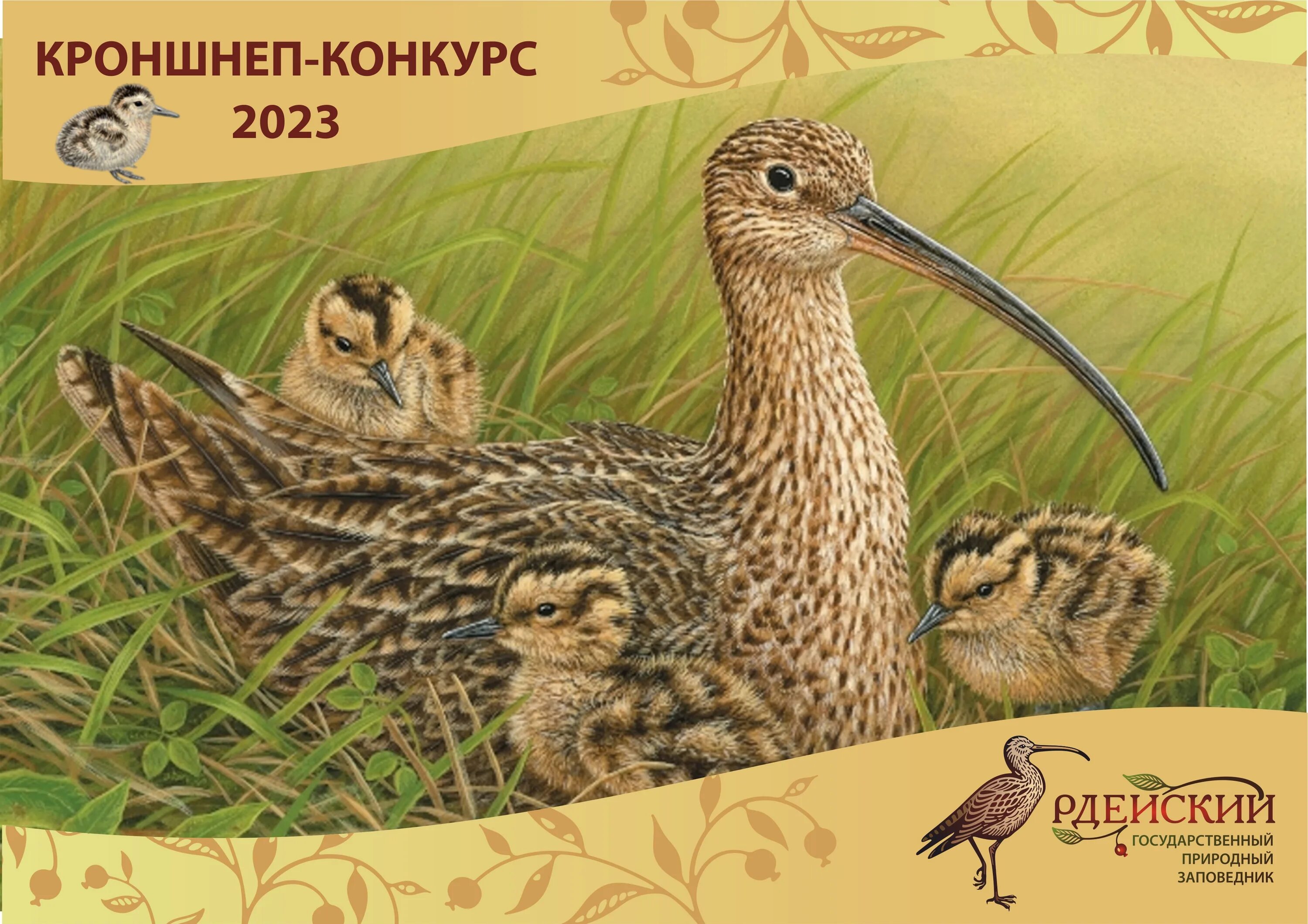 итоги конкурса кроншнеп птица года 2023