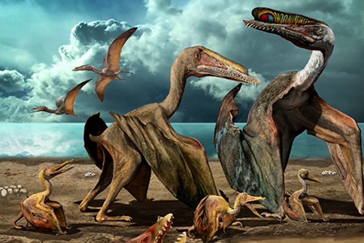 Птеранодон. Смерть динозавров. Что убило динозавров