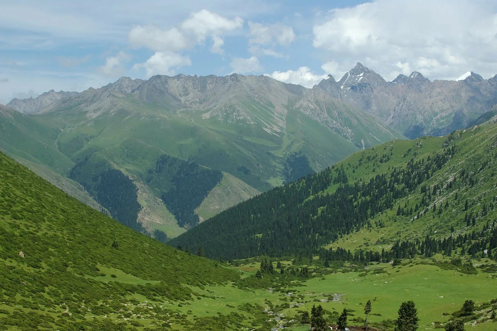 Р киргизия. Кыргызстан горы Тянь-Шань. Мадыген Киргизия. Тянь Шань природа Кыргызстан. Ущелье Каркара Кыргызстан.