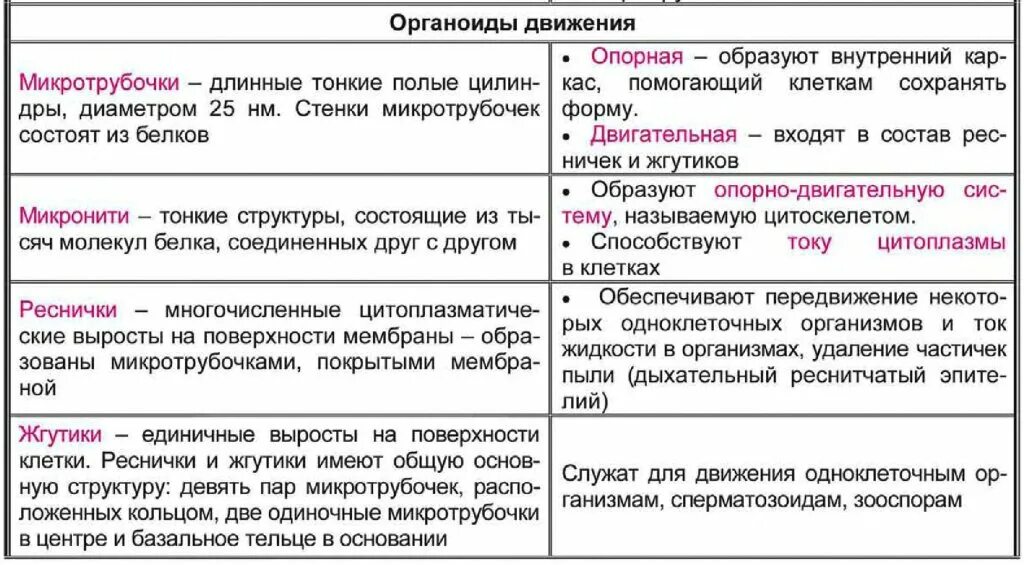Органоиды движения выполняемые функции. Органоиды движения строение и функции таблица. органоиды движения таблица 10 класс. особенности строения органоидов движения. органоиды движения строение и функции.