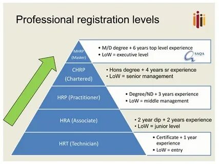 Job level