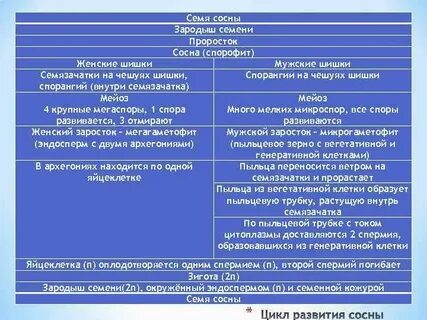 Зародыш семени может погибнуть