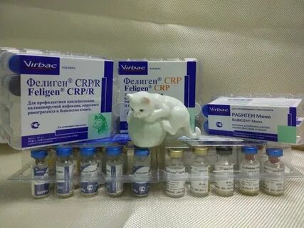 Прививка для кошек название