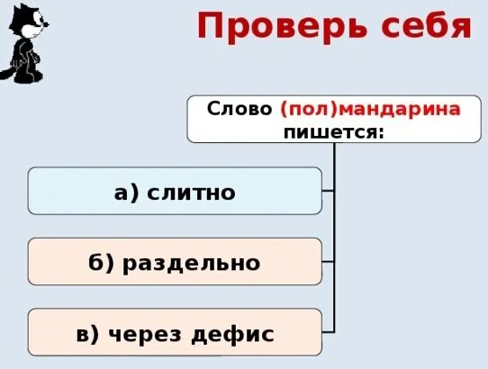 когда слова пишутся слитно пол лимона. как пишется слово пол лимона. пол лимона как пишется слитно. правописание существительных с пол и полу. правописание сложных слов с пол.