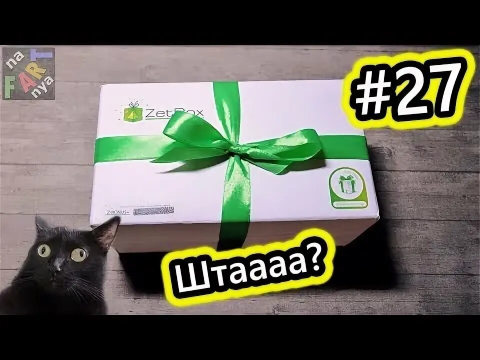 Зет бокс. Zet бокс. zetbox распаковка. распаковка боксов для животных. зет бокс видео.