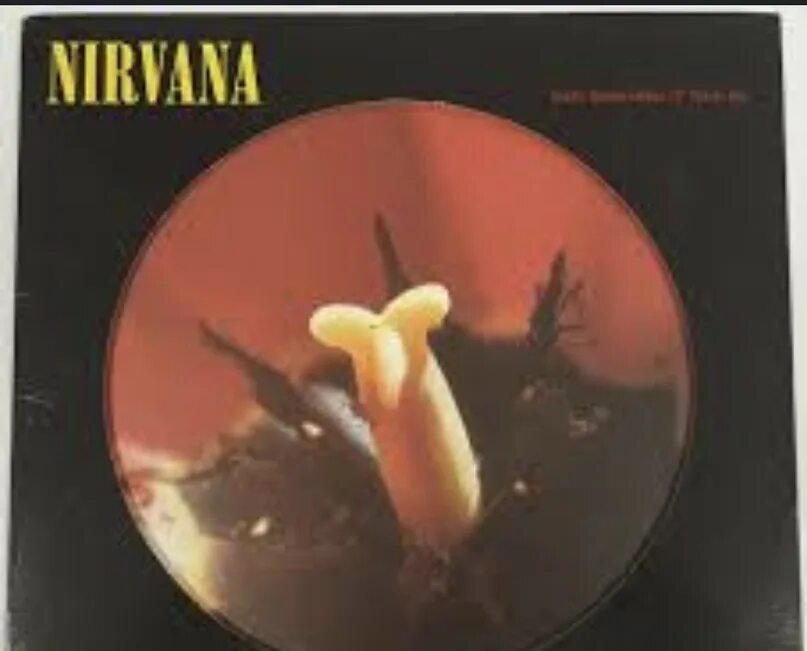 Nirvana bloom. Курт кобейн ин блум фото. Нирвана ин блум. Нирвана ин блум. Нирвана ин блум.