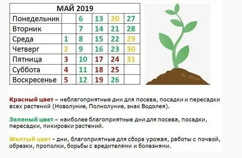 Календарь для рассады в мае
