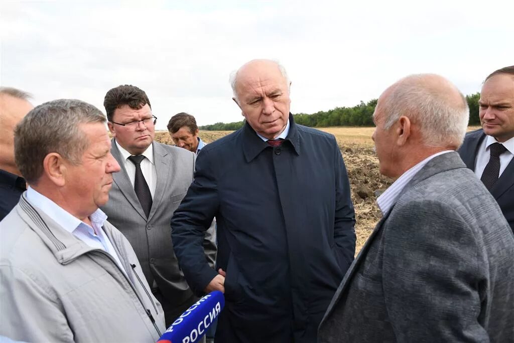 Погода в самарской обл августовка большечерниговский. ООО Колос Самарская область Большечерниговский район. ООО Харьшево Большечерниговский район Самарской. ООО злак Большечерниговский район.