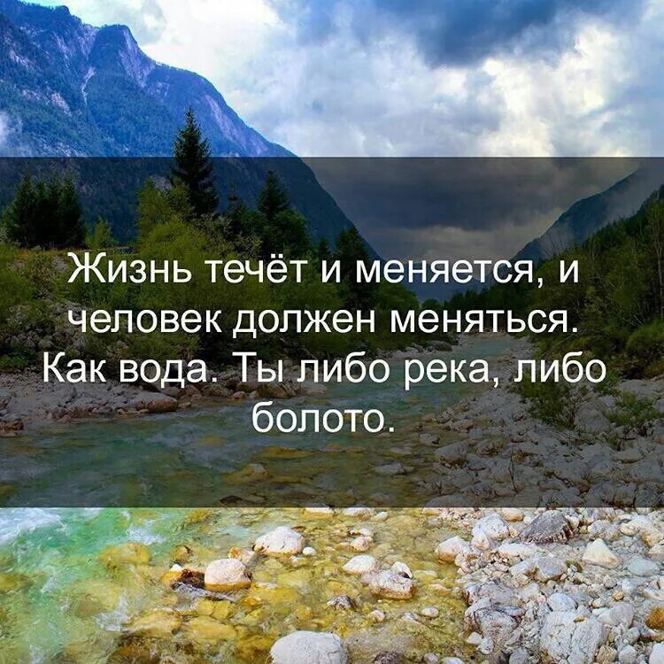 Нужна человека в чем либо. Афоризмы о природе. Красивые цитаты про природу. Высказывания о природе и человеке. Афоризмы про красивую природу.