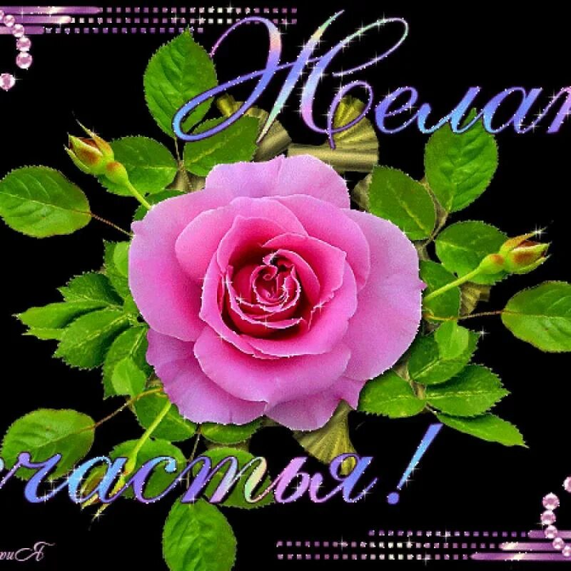 Много счастья тебе много счастья желаем. Пожелания счастья. розы с пожеланиями счастья. желаем счастья. открытки желаю счастья.