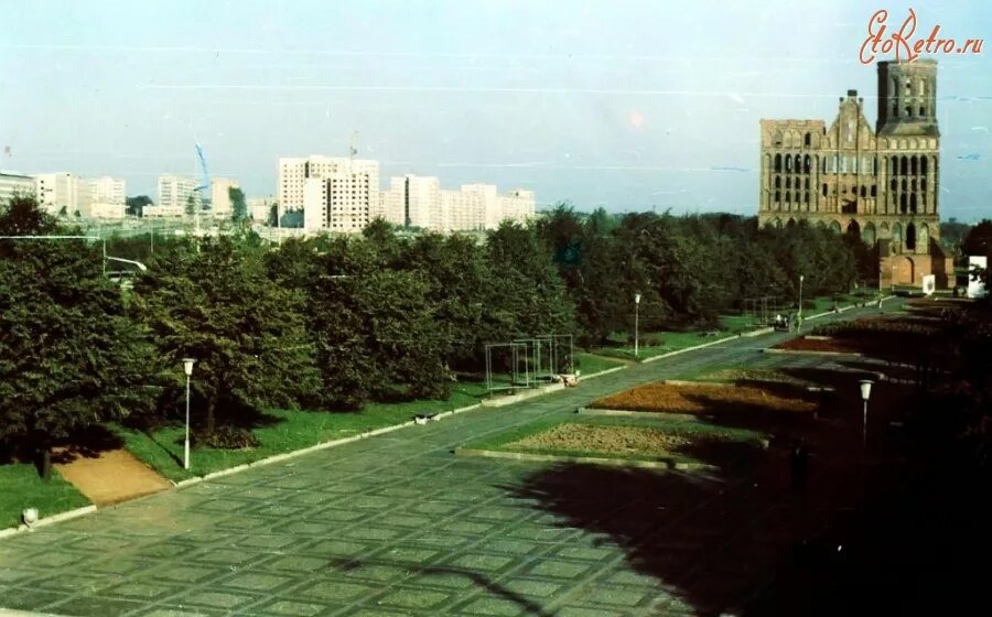 Площадь Победы Калининград 1980. Калининград 1980 год. Фото Калининграда 1980. Калининград 1993 год
