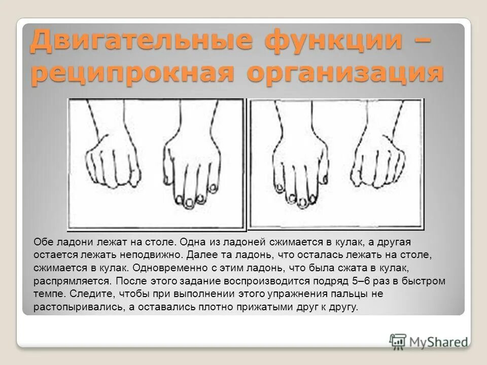 психологические упражнения для детей нейро. развитие левого полушария мозга у детей упражнения. хорошая координация обеих рук. задание на межполушарное взаимодействие детям 7 лет. хорошая координация обеих рук.