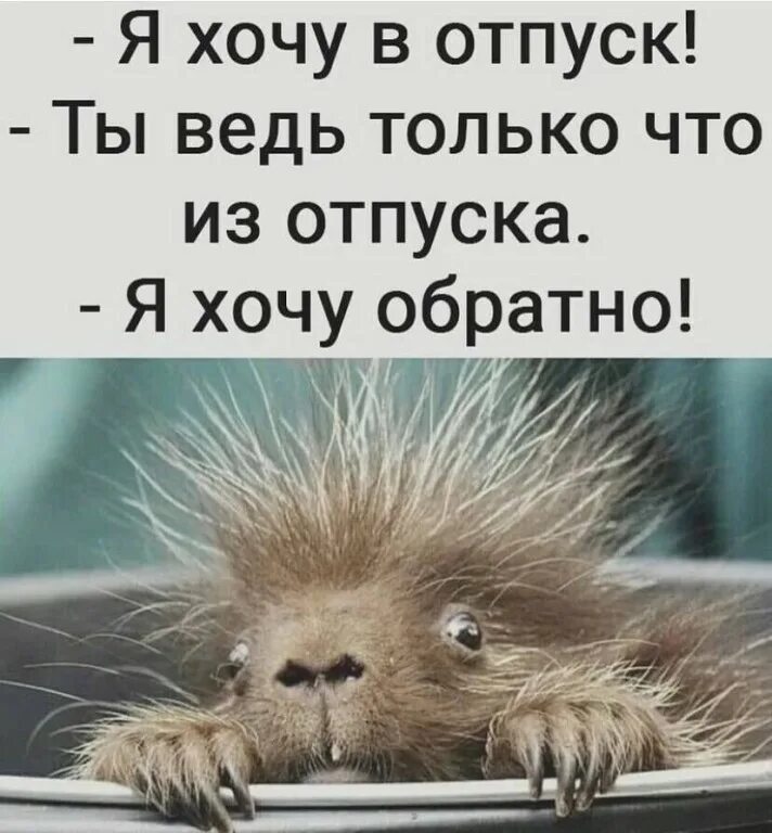 Поздравление с первым рабочим днем. Поздравление с первым рабочим днем после отпуска. С выходом на работу прикол. С возвращением из отпуска прикол. С первым рабочим днём после отпуска.
