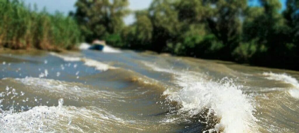 А жизнь мутная вода волна. Мутная вода. Мутная Речная вода. Мутность воды в реке. Загрязнение воды амазонки.