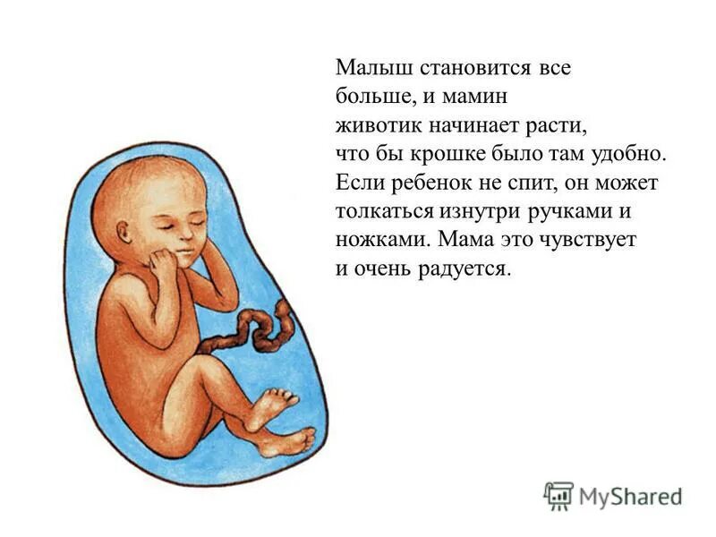 Притча про младенцев в утробе. Ребёнок в животе у мамы. Стишки для детей в утробе матери.