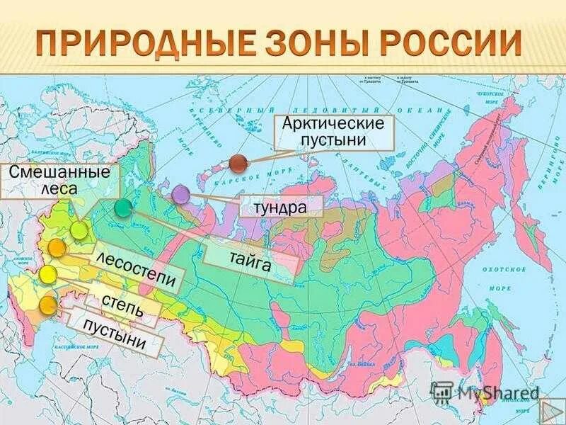 Природные зоны россии конспект урока