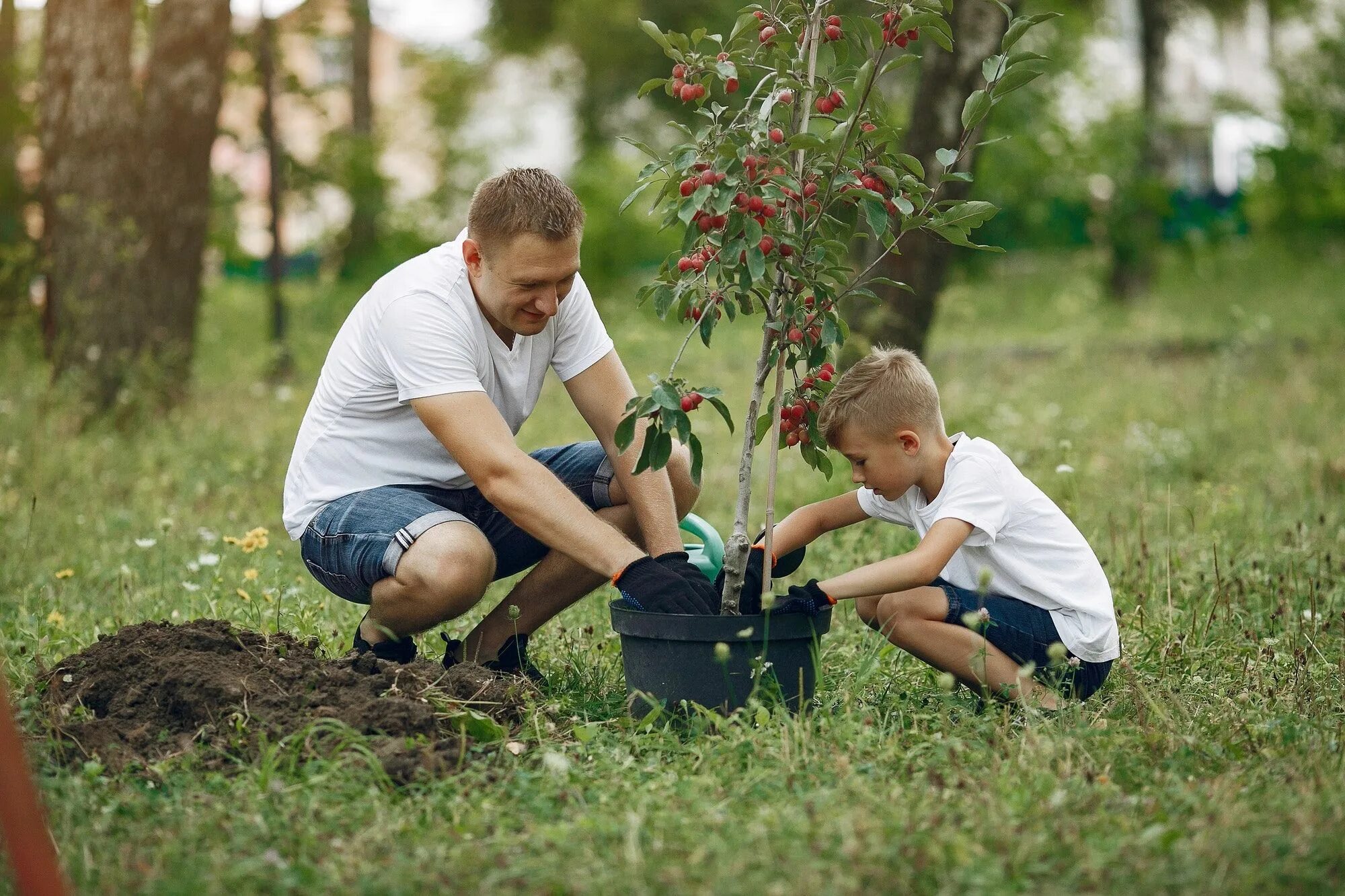 Где работает сын