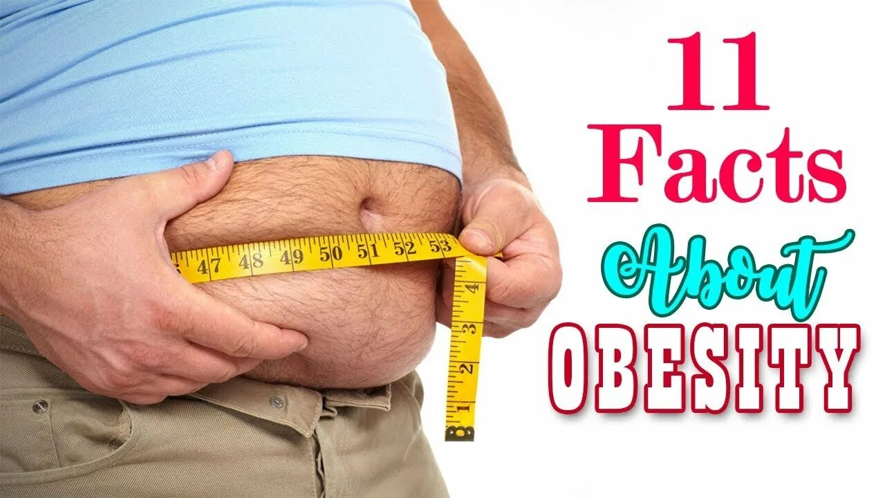 Obesity reasons. Ожирение. Causes of obesity. Ожирение инфографика. Obesity reasons.