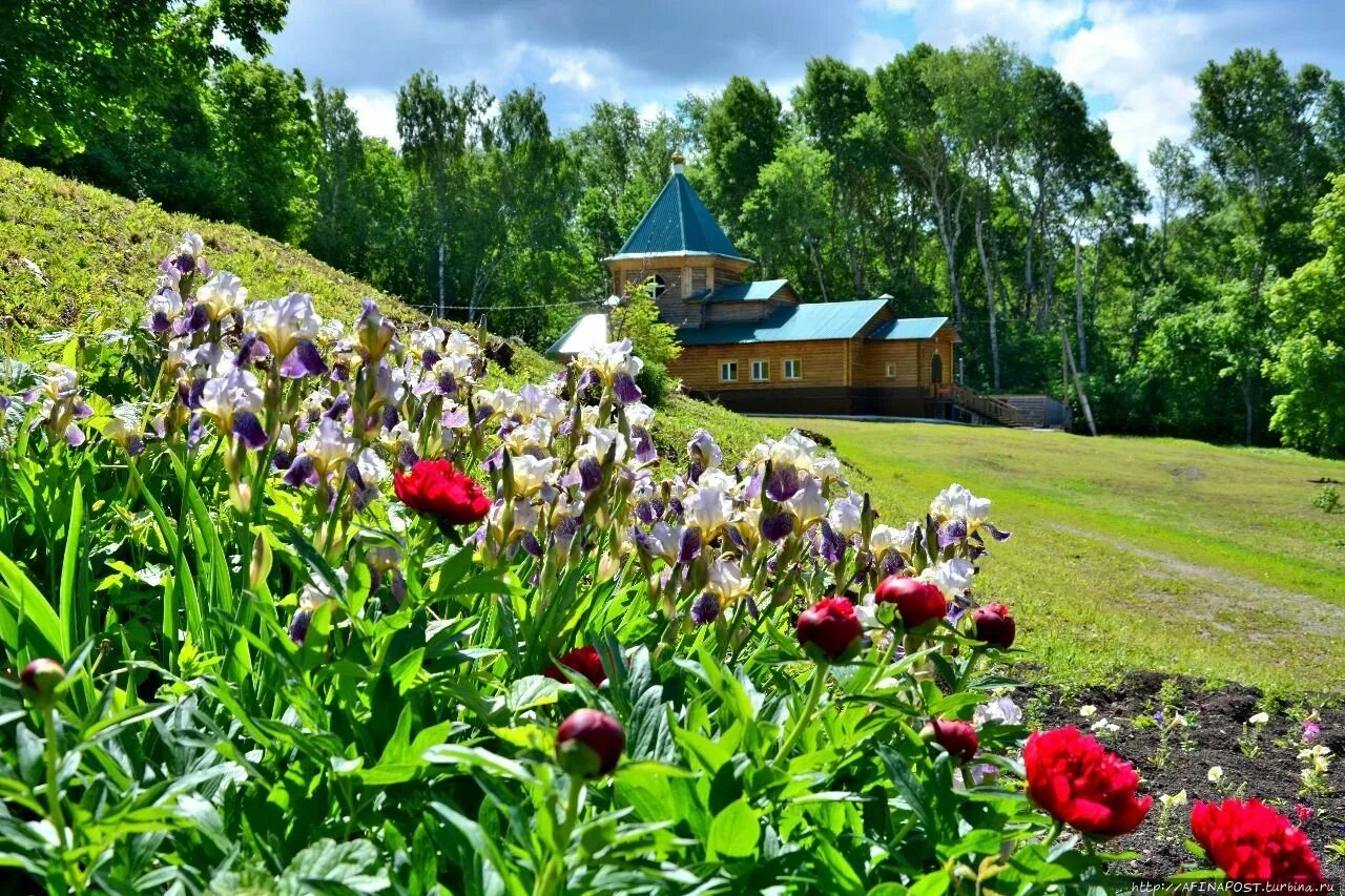 Живо пензенской области. Пензенская природа Пензенской области. Природа Сурского края Пензенской области. Крапивенский заказник Тульская область. Природа в Пензе достопримечательности.