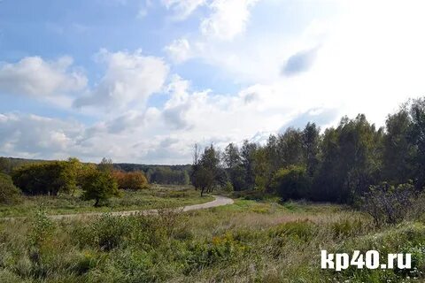 Бушмановка калуга график работы