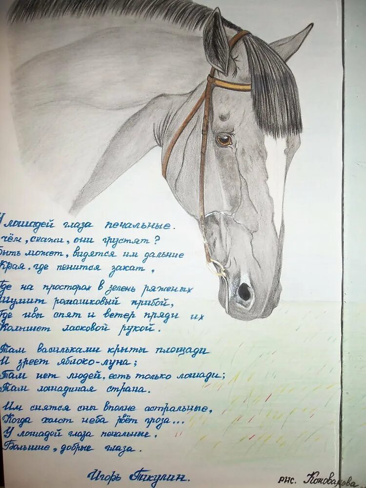 Стихи про лошадей. Печальный конь стих. Стихотворение про лошадь. Стишок про лошадку грустный. Лошади поэзия