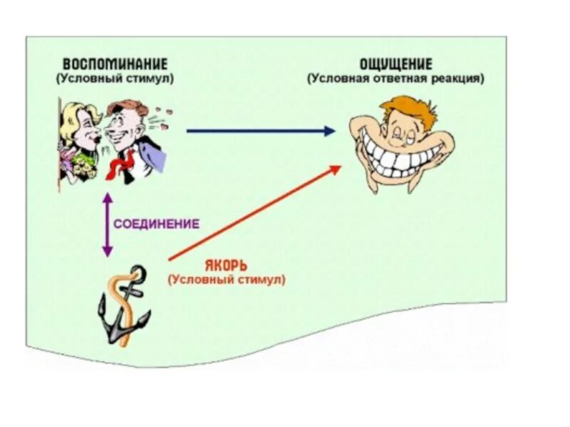 Условные рефлексы у человека. Примеры условных рефлексов у человека. Условные рефлексы примеры. Условные рефлексы e xtkjdstrf ghbvths.