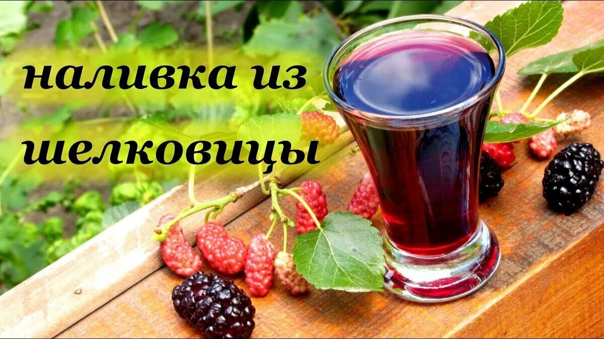 Настойка на шелковице на самогоне. Яблочная наливка. Настойка на шелковице на самогоне. Настойка из тутовника. Вино в трехлитровых банках.