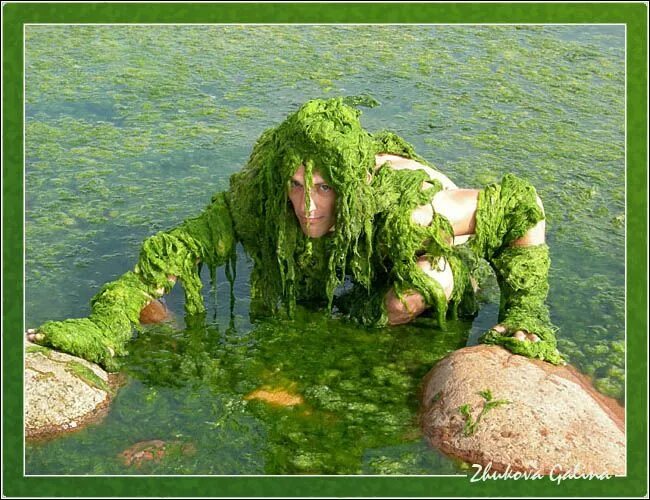 Водяной в болоте. Болотные водоросли. Человек в водорослях. Водоросли прикол.