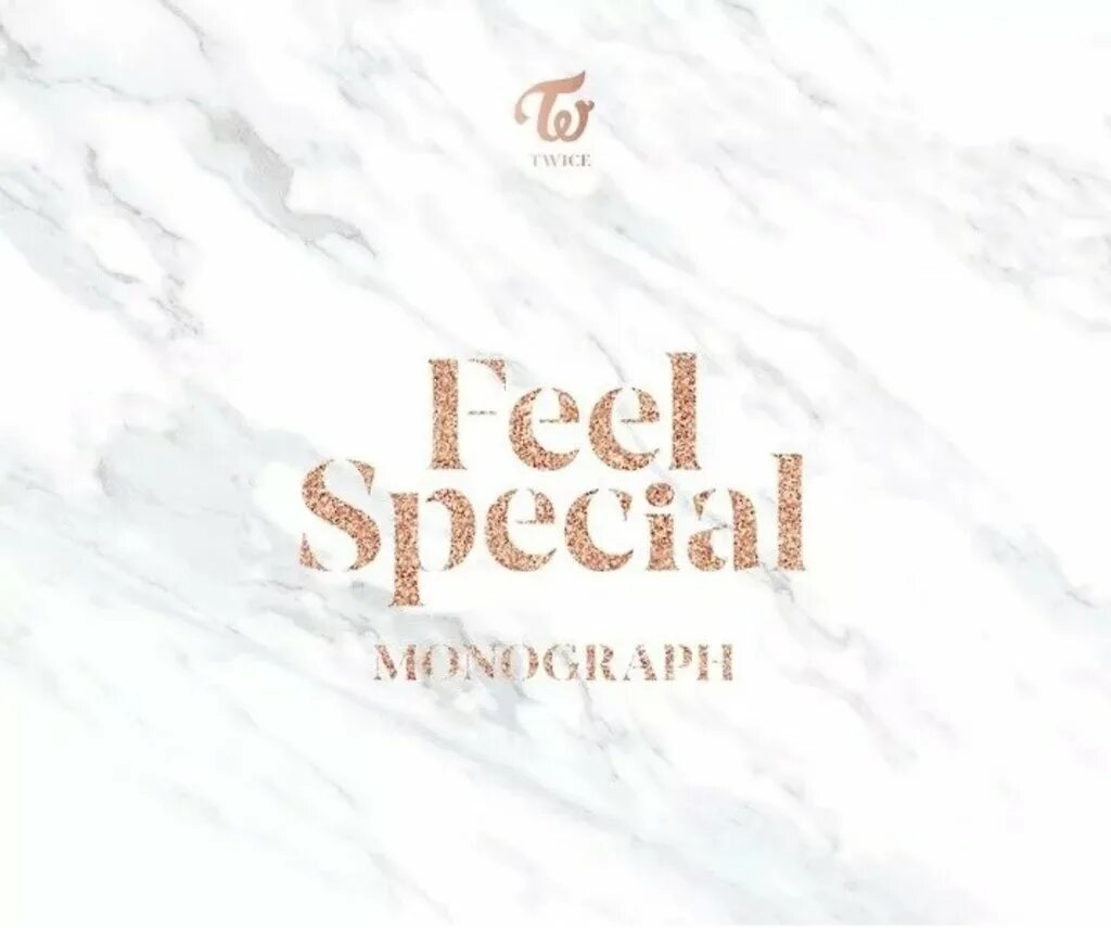 I feel special. Twice feel Special надпись. Twice monograph. Монограф feel Special. Twice Limited monograph.
