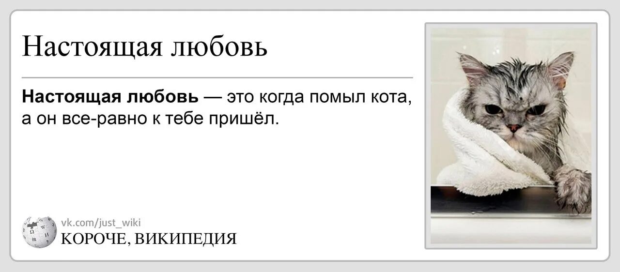 Все равно пришла. Настоящая любовь это когда помыл кота а он все равно к тебе пришел. любовь это отмыть. чтобы помыть кота а. шилов. как помыть кота дайте коту помыться самому рисунки.