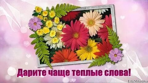 Несколько теплых слов