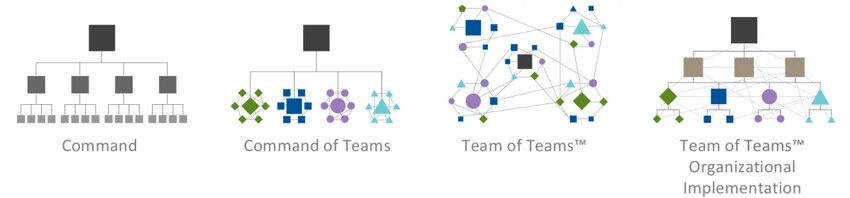 Team 1 Team 2 Chart. Teams. MS Teams structure. Team visibility.