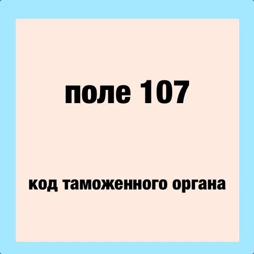 Код таможенного органа. Код таможенного органа 107. Код таможенного органа в поле 107. Код таможенного органа в платежном. (107) – Восьмизначный код таможенного органа;.